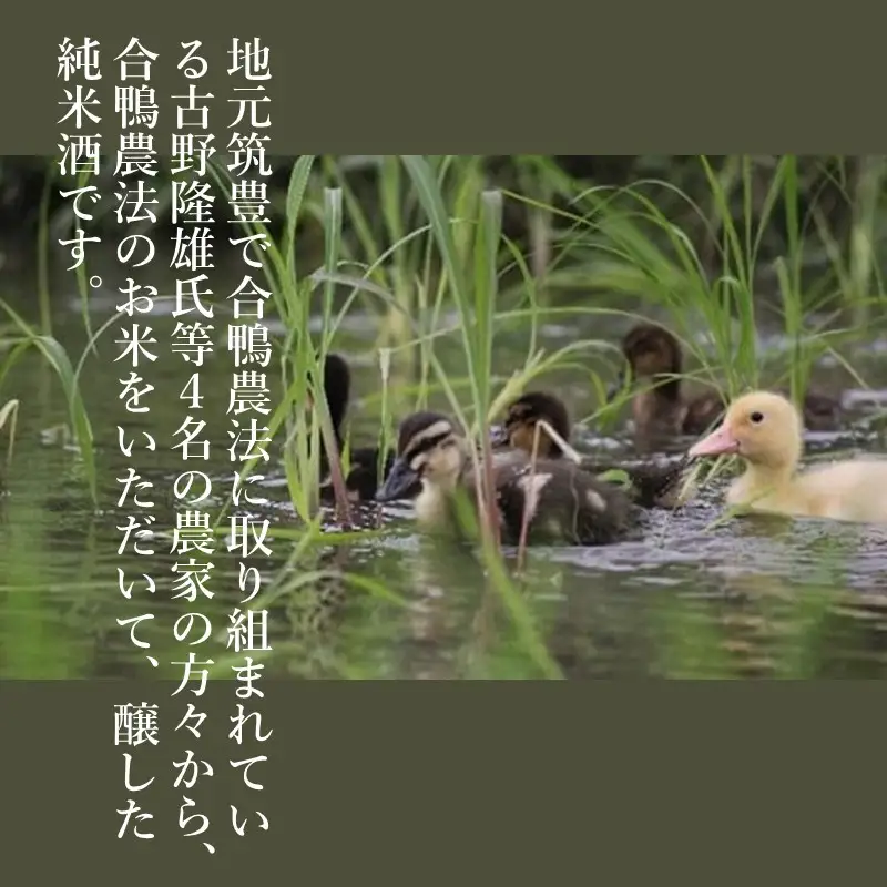 【創業150年】瑞穂菊酒造 純米酒セット 720ml×2本【B3-015】