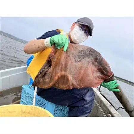 「霞ヶ浦の天然うなぎ」　霞ヶ浦で漁体験　1名様分_旅行券・チケット  体験チケット _【1483574】