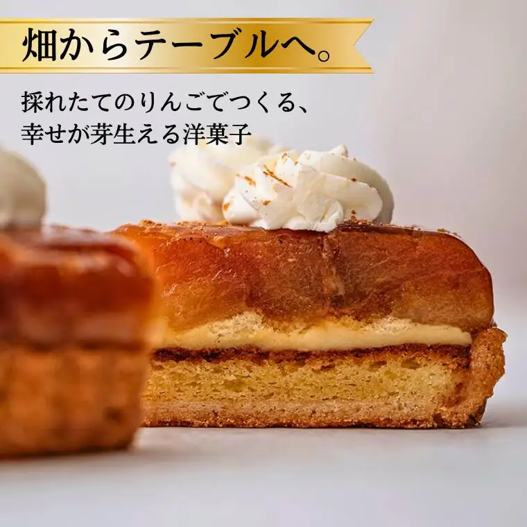 PN02 季節りんごのタルトタタン//長野県産 サンふじ リンゴ 林檎 フランス 本格 スイーツ さくさくタルト 甘さ控えめ 贈答 ギフト 1ホール 冷凍