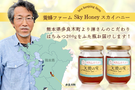 【垂れ蜜】日本みつばち 蜂蜜「天使の宝」2個 セット 希少 ニホンミツバチ 100％ はちみつ 高純度 高濃度 自然落下 無添加 ハチミツ 蜂蜜 ハニー ハチミツ 094-0003