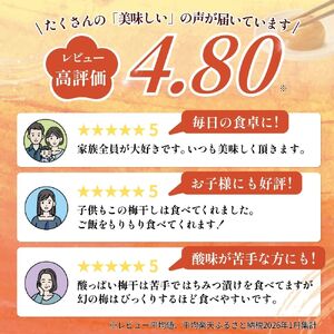 はちみつ梅干し 1kg 幻の梅 塩分5％ 【okh001】