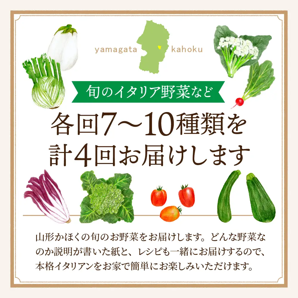 定期便 4回 季節のイタリア野菜 野菜 セット 定期便 野菜