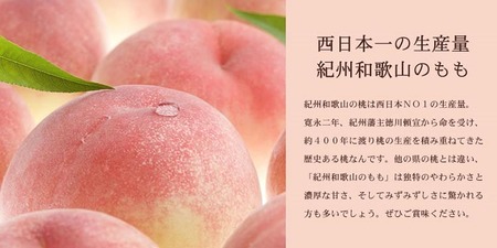 和歌山の桃 [秀品 約3.8～4kg](サイズ・品種おまかせ) ｜ 桃