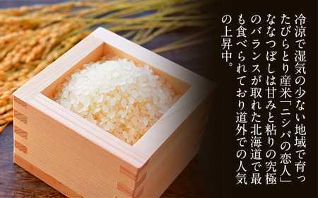 【定期便】北海道で１番人気！「ニシパの恋人」ななつぼし10㎏ 年×6回 BRTH017