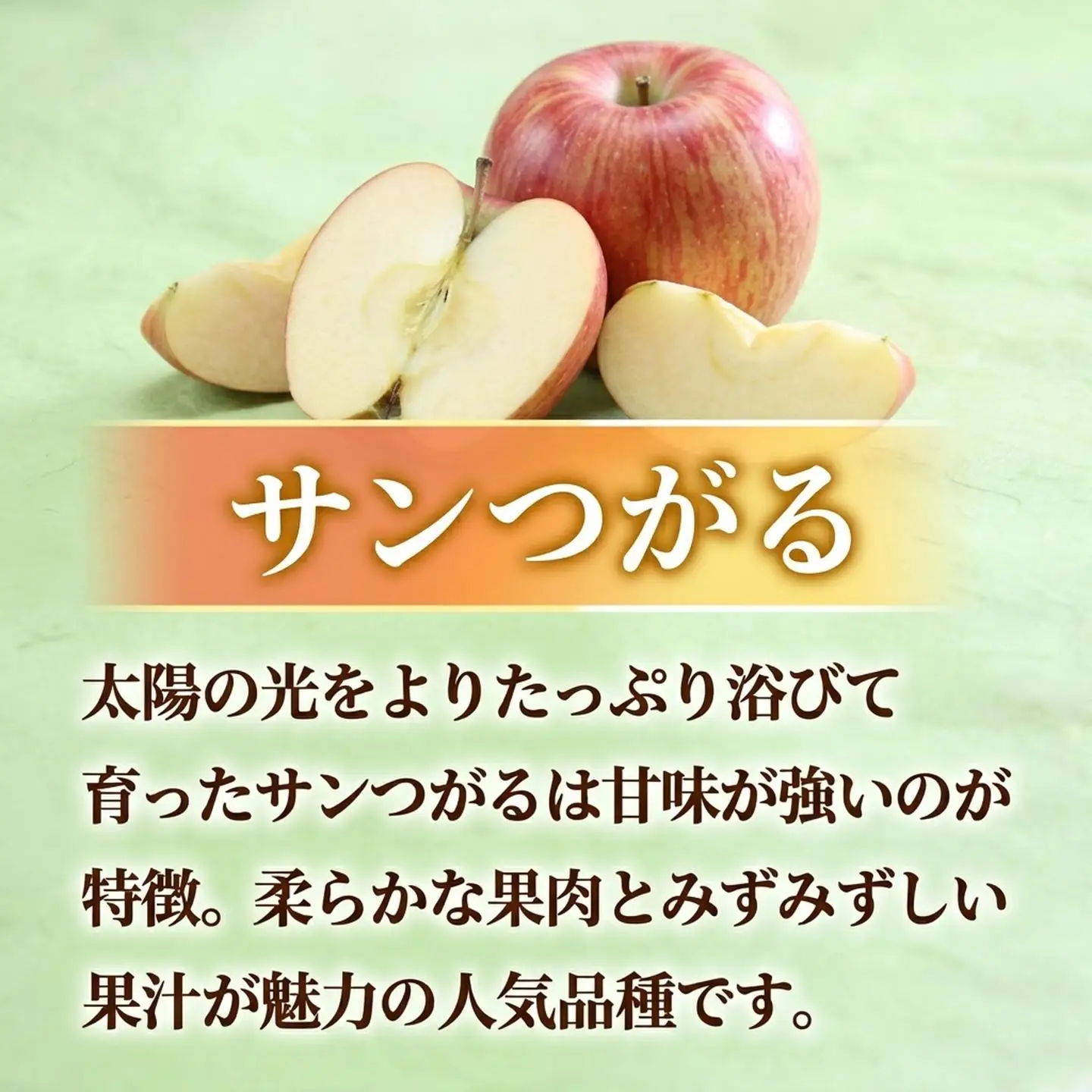 【2026年発送先行予約】りんご サンつがる 約5kg（16～20玉入り）※ご家庭用※ ※2026年8月下旬～9月上旬発送予定※ [A-61]