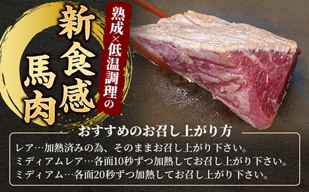 馬肉 6種 500g【赤身・トロユッケ・フタエゴ・コーネ・サガリ・ハツ】- 馬肉 特殊加工 低温調理 馬刺し 熊本 盛り合わせ バラエティーセット 詰め合わせセット 人気部位 醬油付 おすすめ 熊本県 甲佐町