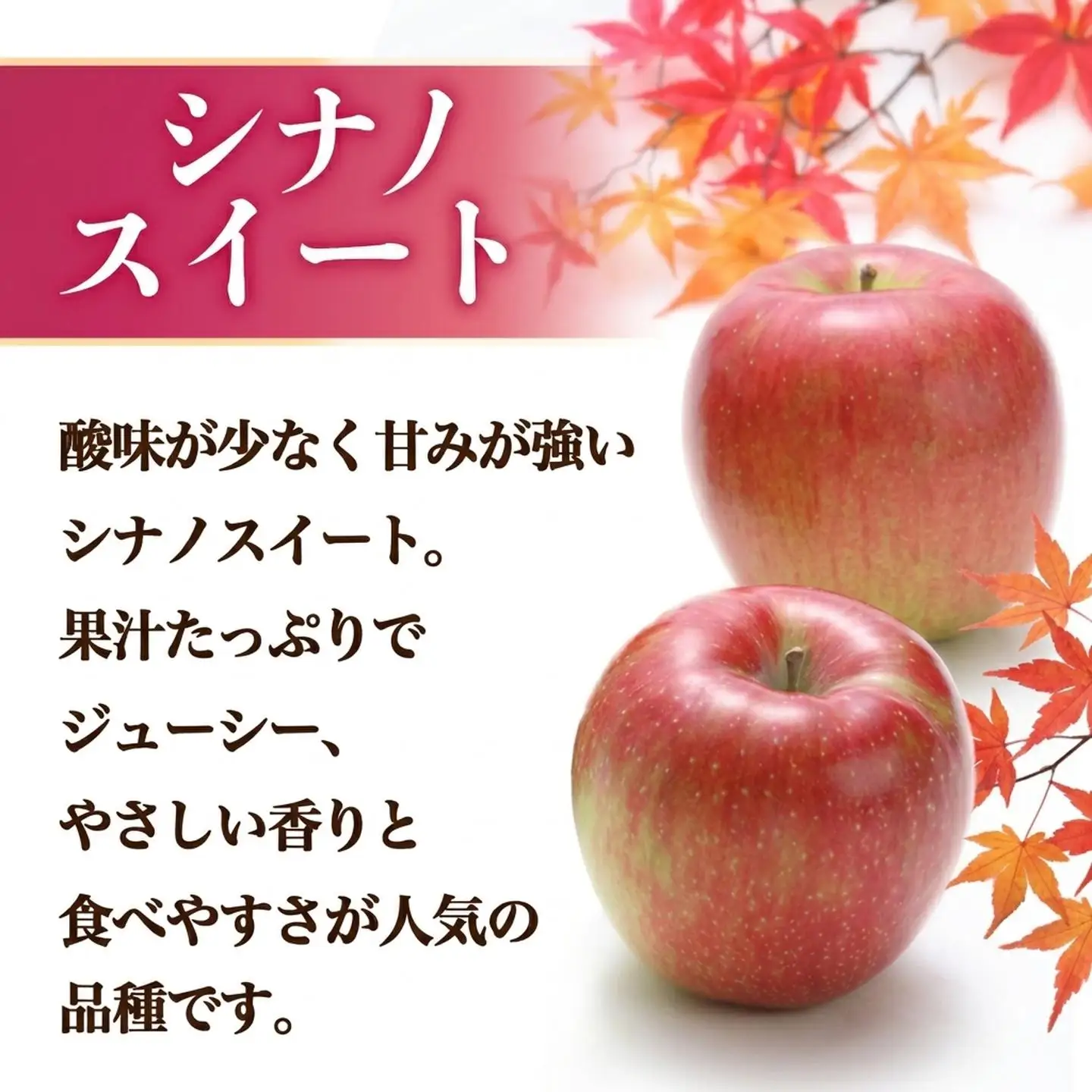 りんご シナノスイート 約5kg りんご 
