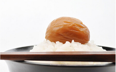 岡畑の白干梅 500g 【塩分20-23％】 / 梅干し 梅干 紀州南高梅 南高梅 梅 和歌山 田辺 白干し 白干 減塩 塩分20‐23％ 塩分控えめ ご飯のお供 国産 しょっぱい 昔ながら 焼酎 お湯割り 【okh013】