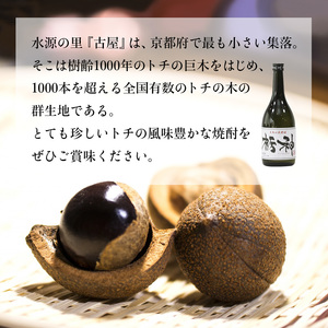 焼酎 限定生産 とちの実を使った焼酎「栃神」720ml×2本 焼酎 ギフト焼酎 焼酎 京都の焼酎
