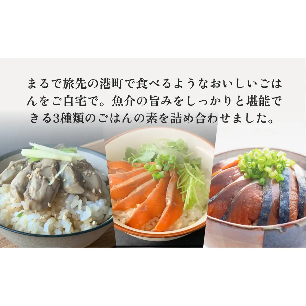 みやぎの海の幸 ごはんの素3種セット 金華さば みやぎサーモン 漬け丼 カンタン調理 牡蠣 炊き込み 混ぜ込み 宮城 石巻 本田水産