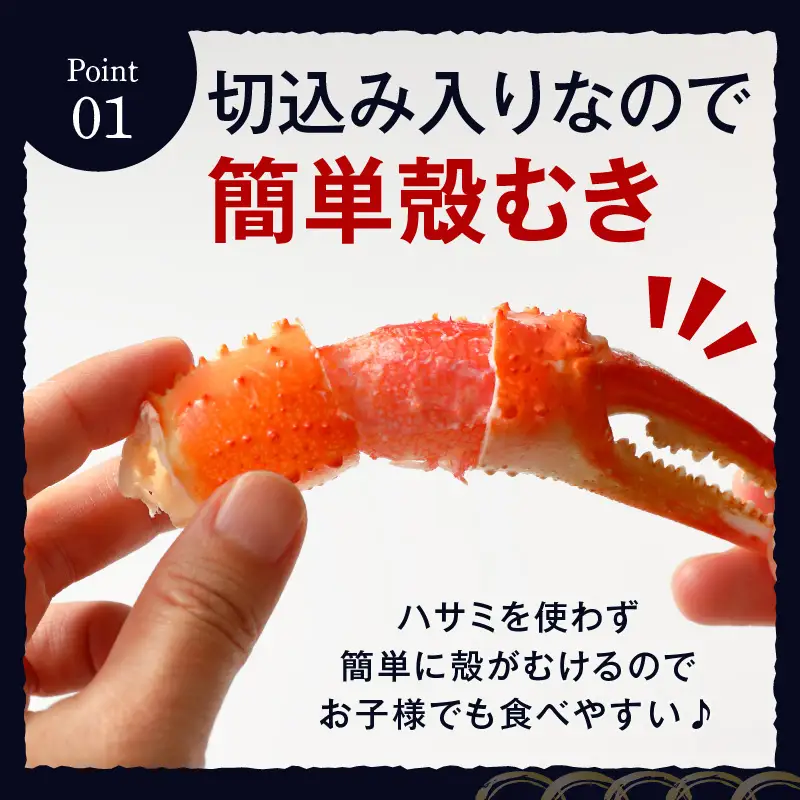 ずわいがに爪(約1kg)【B6-029】