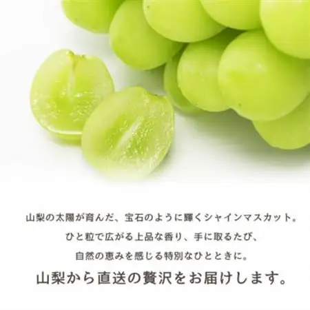 【2026年発送】山梨市 シャインマスカット(約2kg)3～5房入り 化粧箱入り【配送不可地域：離島・沖縄県】【1484816】