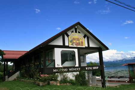 MW12 山葡萄ワイン2種セット（500ml×2本）// 長野県 南信州 山ぶどう 山葡萄 贈答 ギフト 稀少 甘口ワイン 辛口ワイン