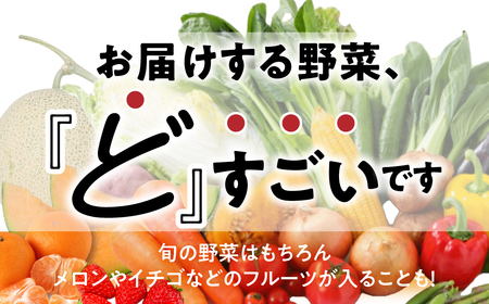 旬の野菜 フルーツ 詰め合わせ ～ 12品 野菜ソムリエ 厳選 野菜セット | メロン いちご トマト アスパラガス トウモロコシ 玉ねぎ 国産 人気 ランキング やさい 野菜 果物 フルーツ 野菜 野菜セット  メロン いちご トマト アスパラガス トウモロコシ 玉ねぎ 国産 人気 ランキング