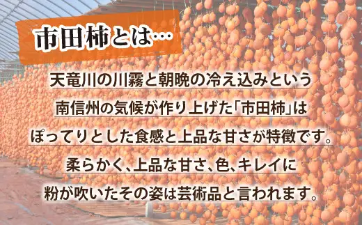 A-94 長野県南信州特産市田柿 180g×3袋セット
