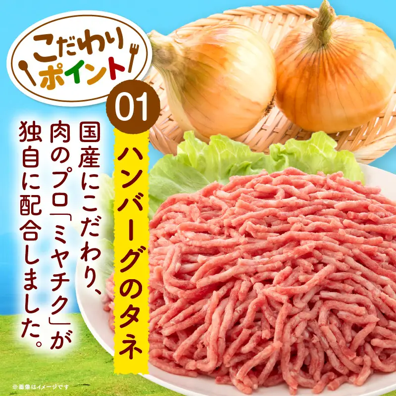ハンバーグ デミグラス ハンバーグ[合挽 21個 小分け 冷凍 ミヤチク 国産]