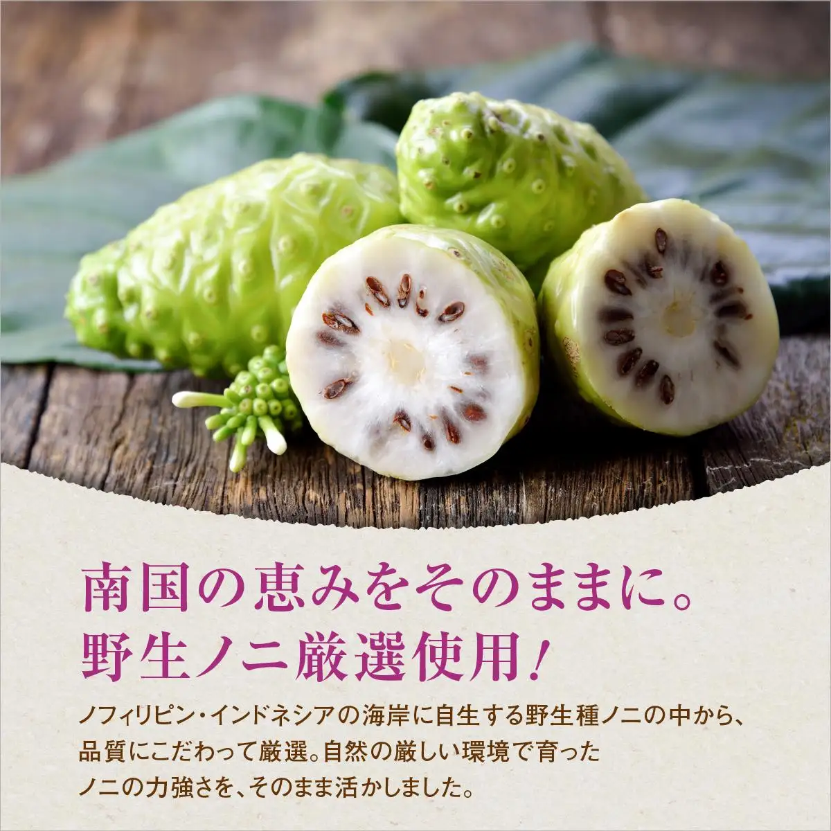 野生種のノニだけを厳選！３ヶ月間以上発酵ノニ　ミラクルノニジュース&つぶセット   