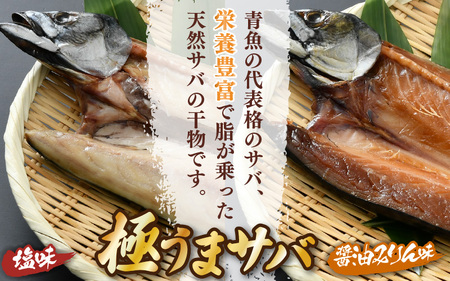 干物 鯖一夜干し 極うまサバ 半身6パック （塩味1枚×3パック 醤油みりん味1枚×3パック）鯖 サバ [m17-b016]