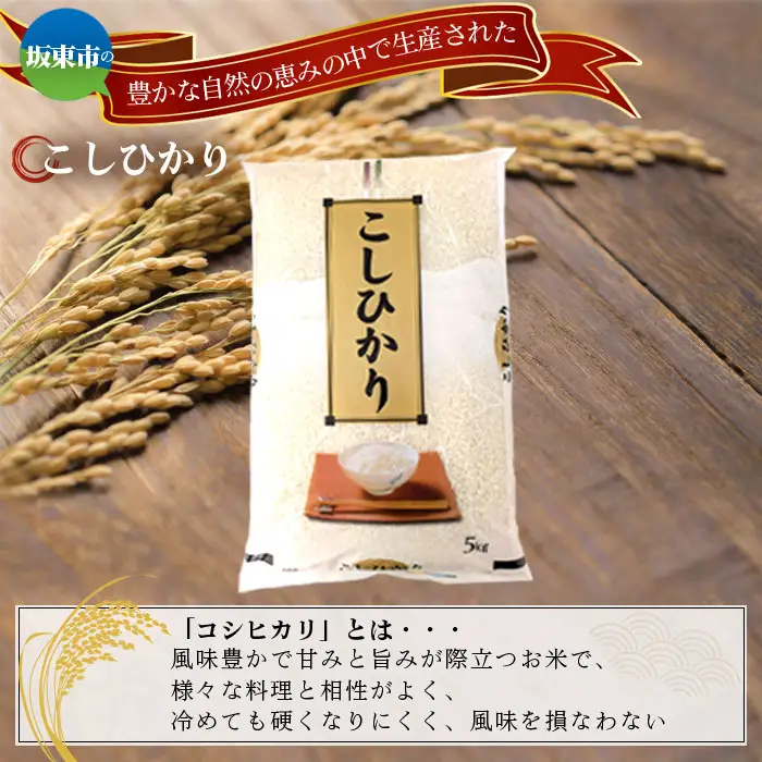 令和7年産　こしひかり10kg【坂東市産】 ／ 令和7年 新米 米 お米 こめ コメ 精米 白米 ご飯 国産米 10kg 10キロ コシヒカリ こしひかり 甘み 粘り 香り ツヤ おすすめ 人気 おいしい お取り寄せ 産地直送 産直 坂東市産 茨城県産 茨城産 茨城県 特産品 No.669