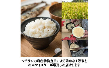 3ヶ月 定期便 コシヒカリ 10kg 米