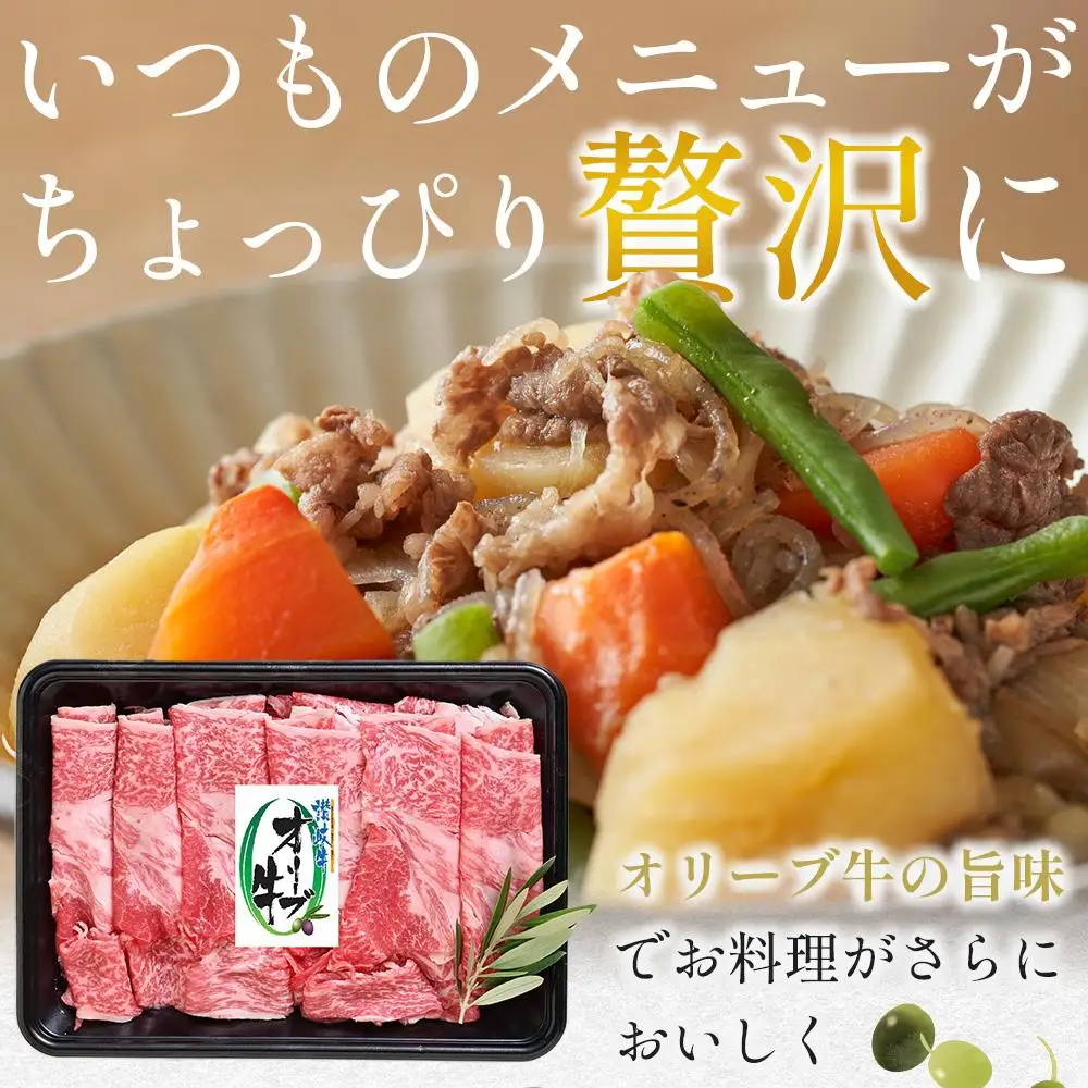 オリーブ牛切り落とし 600g（300g×2パック） | 切り落とし 