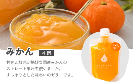 小さめ飲む ゼリー 詰め合わせ 3種 10個  [m01-a049]