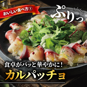 【ぶり】 スライス (500g) ブリ