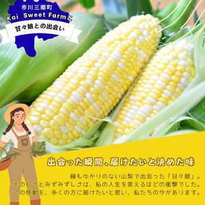 市川三郷町大塚産の甘々娘（とうもろこし）６本入り 【2026年6月上旬発送】　Kai Sweet Farm[5839-2060]