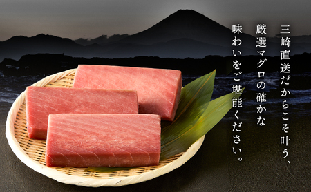 三崎マグロ 鈴木水産 天然マグロ （ 中トロ 3柵 ） セット M105-003 冷凍 マグロ
