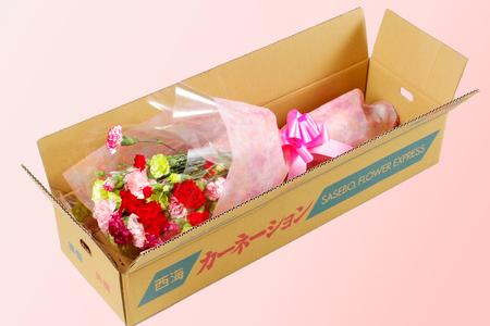 【母の日ギフト】カーネーション 花束 生花 切花 22本 母の日 前日にお届け 産地直送 高級【西九州させぼ地域商社 & 黒髪カーネーション】ギフト プレゼント カーネーション