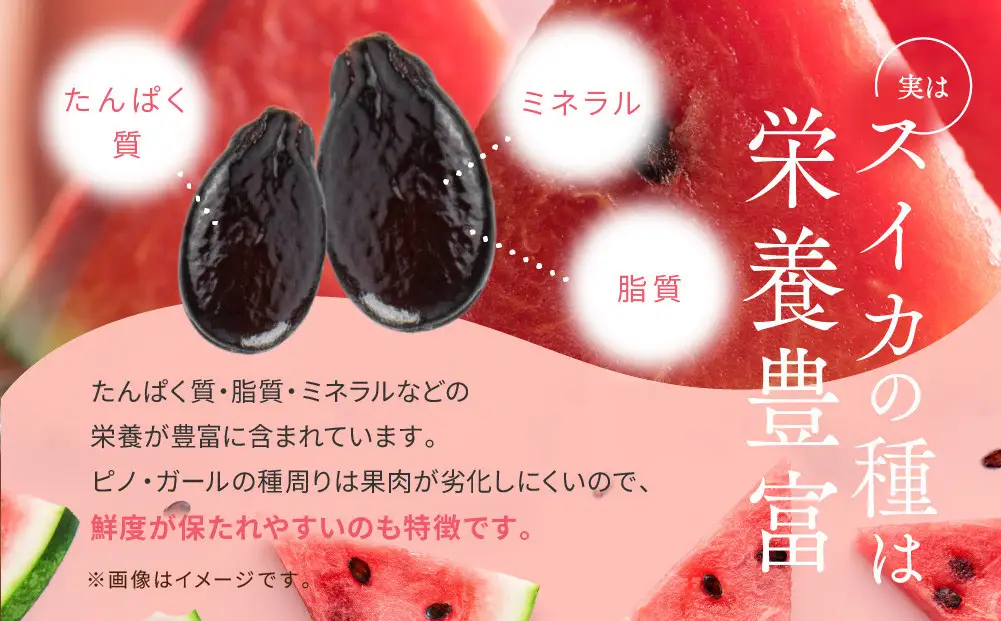 【先行予約】種ごと食べられる！小玉スイカ ピノ・ガール 2玉（1玉2kg前後×2玉）※着日指定不可 ※離島への配送不可 スイカ