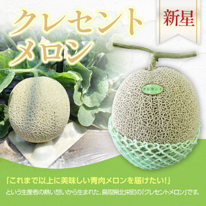 783.【先行予約】青肉メロンの新星「クレセントメロン」満足の２玉セット　※2026年７月中旬より順次発送予定
