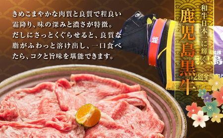 黒牛 & 黒豚 & 茶ぶり切り身 の どん薩摩の黄金だし しゃぶしゃぶ セット （ 4人前 ） K227-006_01 肉 豚肉 冷凍