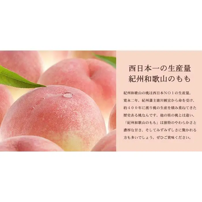和歌山の桃 秀品 約3.8～4kg(サイズ・品種おまかせ) 和歌山県産 もも 桃 モモ 果物 フルーツ 産地直送 紀伊国屋文左衛門本舗【TC1】
