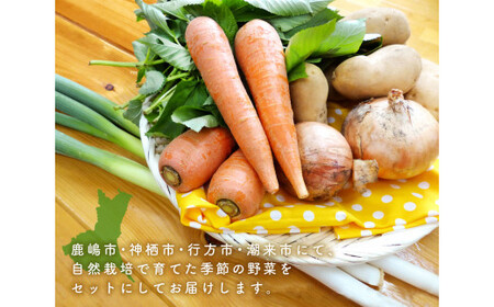 自然栽培野菜 10～12品目 【茨城県共通返礼品・鹿嶋市産・神栖市産・行方市産・潮来市産】(KBE-111)