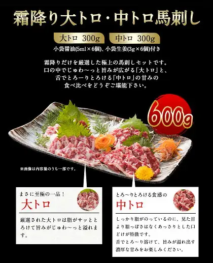 大トロ中トロ馬刺し盛り 600g 桜屋《30日以内に出荷予定(土日祝除く)》熊本県 菊池市 馬刺し 大トロ 中トロ 食べ比べ 馬肉 霜降り