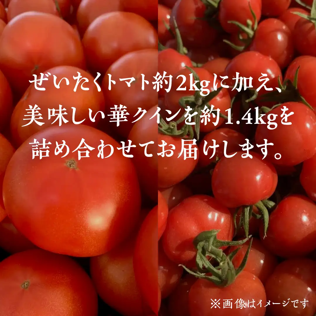 野口農園 ！ ぜいたくトマト（2kg）と華クイン（1.4kg） 