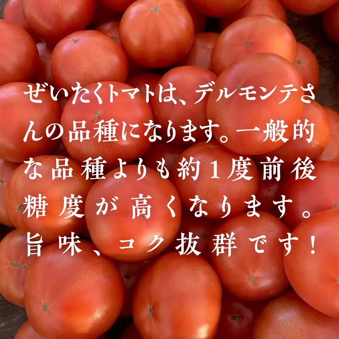 ぜいたくトマト！ 約2kg × 2 合計 約4kg ( 18～24個 ) 