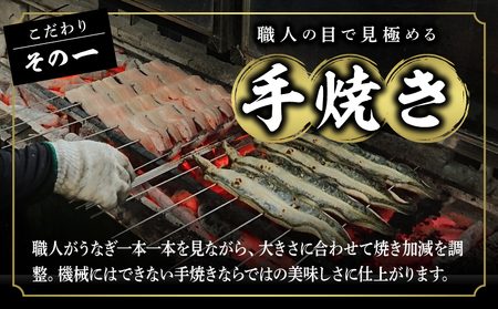 【通常発送】一色産うなぎ 炭焼き 蒲焼まぶし 《2人前セット》×3袋・I021-16-1