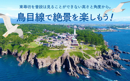 リアルタイム！VRゴーグルで東尋坊観光！！ 1名様分【感謝券】【東尋坊 観光 体験 絶景 名勝 体験チケット VR ドローン】 [A-18102]