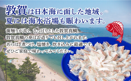 敦賀真鯛 しゃぶしゃぶセット [041-c006]