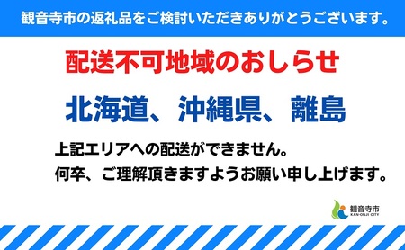 【2026 母の日 先行予約】7寸カーネーション　複色（バイカラー）母の日ギフト 花 フラワー 植物 お花 贈り物 珍しいカーネーション 底面給水 母の日のプレゼント 