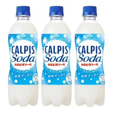 【2ヵ月毎定期便】『カルピスソーダ』PET500ml　24本　隔月全6回_飲料・ドリンク 炭酸飲料 ジュース   定期便 定期便  _【4011135】