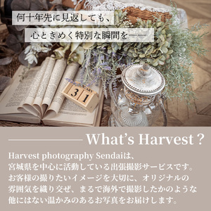  【宮城県大和町】フリーフォトプラン Harvest photography Sendai ロケーション マタニティ キッズ ファミリー  ペット 七五三 成人式 記念日 家族 思い出 カメラ 記念撮影【ハーベストフォトグラフィ】ta371