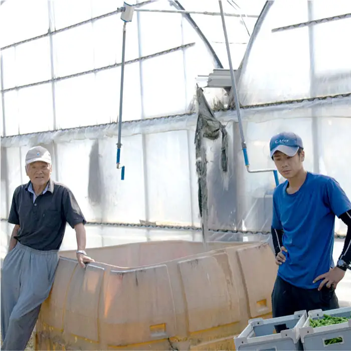 朝採れ すいか 1玉 大玉スイカ （6kg以上） 【先行予約 7月中旬頃より発送】 甘い 果物 野菜