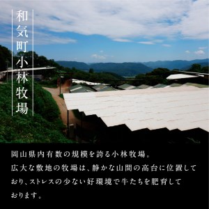 DD-18　備前牛（黒毛牛）すき焼きセット　500g