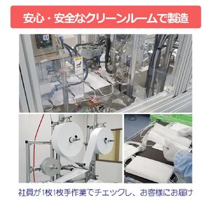 マスク 定期便 3回 日本製 不織布3層マスク 100枚×3回 人気 日用品 消耗品 国産 使い捨て 伊予市 Japan桜 山陽物産｜B243