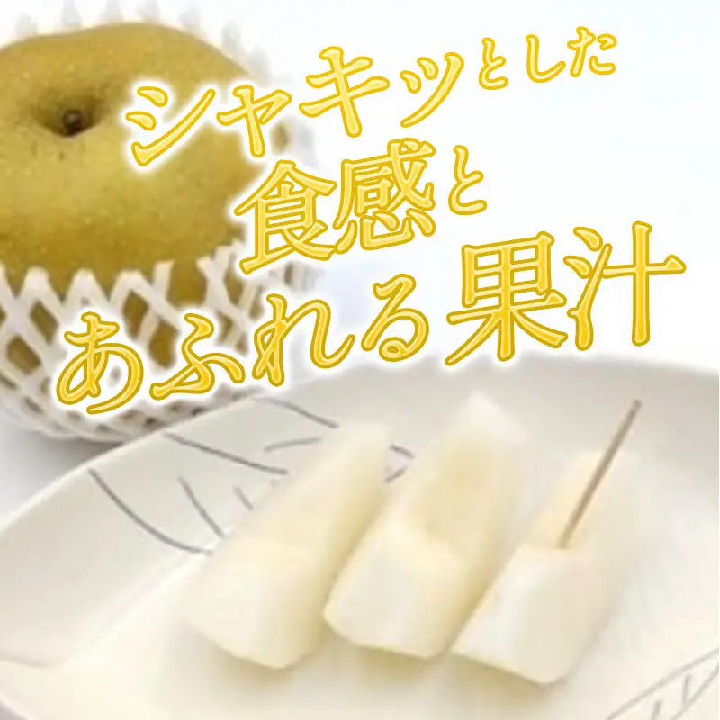 A-1171 訳あり赤梨　5～10玉 2kg（家庭用・規格外）