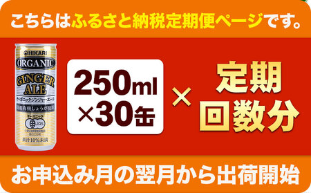 【3ヶ月定期便】ジンジャーエール 光食品