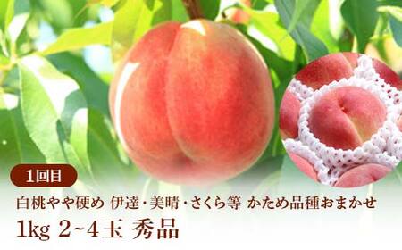 ≪2026年先行予約≫ 全4回やまがた 「秋」 旬のフルーツ定期便 もも モモ 桃 デザート フルーツ 果物 くだもの 果実 食品 山形県 FSY-2664